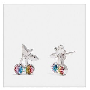 💟Coach Cherry Earrings